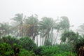 Storm in tropical island Royalty Free Stock Photo