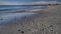 They arrive gently to the seashore leaving remains of shells.