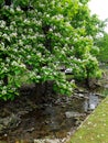 Storm water drain beside a road in Eukera Springs Royalty Free Stock Photo