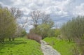 Dark rain clouds over a meadow with trees in the flemish countryside Royalty Free Stock Photo