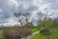 Dark rain clouds over a meadow with trees in the flemish countryside Royalty Free Stock Photo