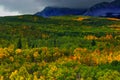 Storms Over The Aspen Forest