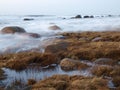 Stormy Baltic Sea Royalty Free Stock Photo