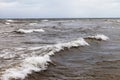 Stormy Baltic sea. Royalty Free Stock Photo