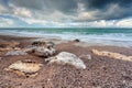 Stormy clouded sky over beach in ocean