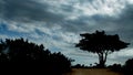 Stormy clouds approaching over the trees Royalty Free Stock Photo