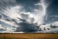 Stormy clouds in the golden fields. Royalty Free Stock Photo
