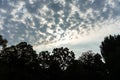 Stormy clouds over tree line forrest with blue and red sky Royalty Free Stock Photo