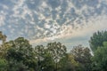 Stormy clouds over tree line forrest with blue and red sky Royalty Free Stock Photo