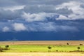 Stormy clouds with rain shower over the savannah in the wet season at Masai Mara Royalty Free Stock Photo