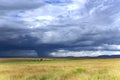 Stormy clouds with rain shower over the savannah in the wet season at Masai Mara, Kenya Royalty Free Stock Photo