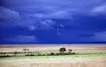 Stormy clouds with rain shower over the savannah in the wet season at Masai Mara, Kenya Royalty Free Stock Photo