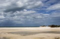 Stormy cloudscape over the ocean with sand beach and water puddles and small dunes in the foreground - bird flying in the sky Royalty Free Stock Photo