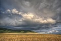 Stormy cloudscape in summer Royalty Free Stock Photo