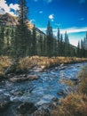 Stormy creek of the Altai mountains. Russia. September 2018 Royalty Free Stock Photo