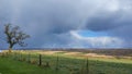 Stormy Day in the Country - Tree, Fence Royalty Free Stock Photo