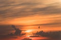Stormy dramatic sky background with yellow red and orange clouds. Sunset skyline. Storm on the beach. Royalty Free Stock Photo