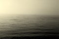 Stormy foggy atmospheric ocean with flying pelicans