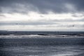 Stormy landscape coast of the Northwest Pacific Ocean with the remains of an old marina and flying albatrosses Royalty Free Stock Photo