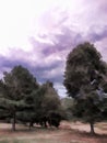 Stormy Moody Cloudy Tree Landscape
