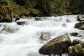 The stormy mountain river flows along the gorge high in the mountains