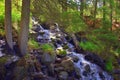 A stormy mountain river flows down a waterfall through a forest, bending around stones and dumped trees on its way Royalty Free Stock Photo