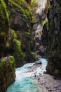 Stormy, mountain river flows through the gorge.