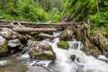 Stormy mountain river in the forest in Altai, Russia