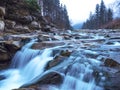 Stormy mountain river in forest valley Royalty Free Stock Photo