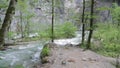 Mountain river Mzymta in Abkhazia 006