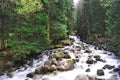 Stormy mountain river with rocks on the shore