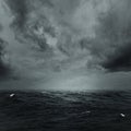 Stormy ocean Royalty Free Stock Photo