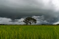 Stormy rain clouds background. Dark sky above field.selection focus. Royalty Free Stock Photo