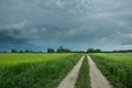 Stormy rainy dark clouds and dirt road through a green field of grain Royalty Free Stock Photo