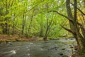Stormy river flowing through the spring forest.selective focus, long exposure