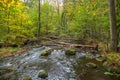 Stormy river flowing through the spring forest.selective focus, long exposure