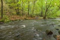 Stormy river flowing through the spring forest.selective focus, long exposure