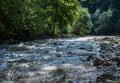 Stormy river after rain in a forest area