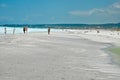 White beaches of Rosignano Marittimo (Livorno)