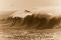 Stormy Sepia Sea