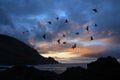 Stormy shore, Atlantic, Canary