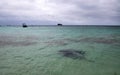 Stormy Skies over Hamelin Bay Royalty Free Stock Photo