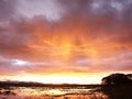 Stormy sky above swamp Royalty Free Stock Photo