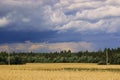 Stormy sky on a background of ripe yellow wheat in the field Royalty Free Stock Photo