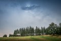 Dark sky over mountain and pines