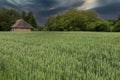 Stormy sky over the Ukrainian village. Old abandoned house in focus. Field of wheat in the foreground. The concep Royalty Free Stock Photo