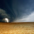 Stormy sky, ripe barley