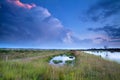 Stormy sky at sunset over swamp Royalty Free Stock Photo