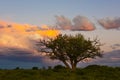 Stormy sky at sunset in the pampas field, La Pampa, Royalty Free Stock Photo