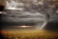 Stormy sky with tornado over field Royalty Free Stock Photo